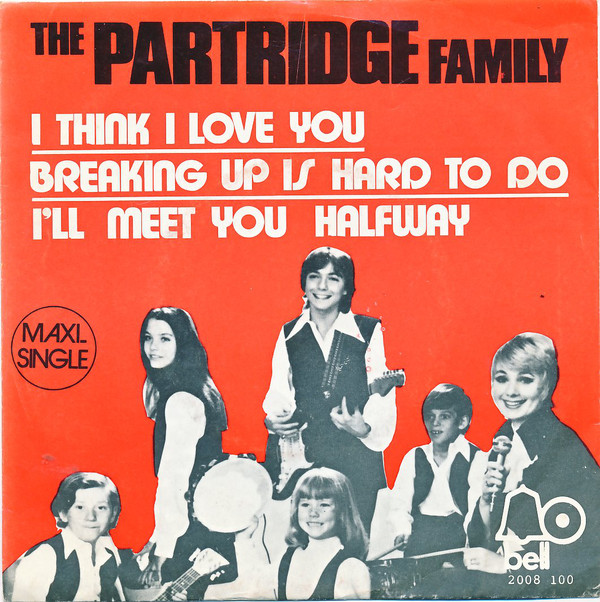 Песня i think i love. The Partridge Family тур воссоединения. The Partridge Family starring Shirley Jones collection. David Cassidy - Rock me Baby (1972).