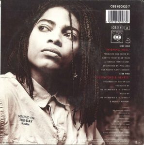 Terence Trent d'Arby ‎– Wishing Well (7