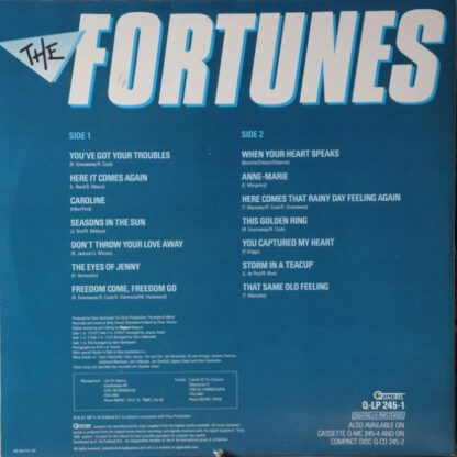 The Fortunes ‎– All The Hits and More (LP NL 1987) nm/vg++ - Image 2