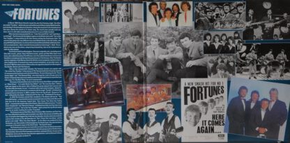 The Fortunes ‎– All The Hits and More (LP NL 1987) nm/vg++ - Image 3